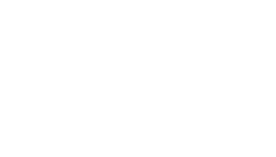NS-Logo NS-Logo